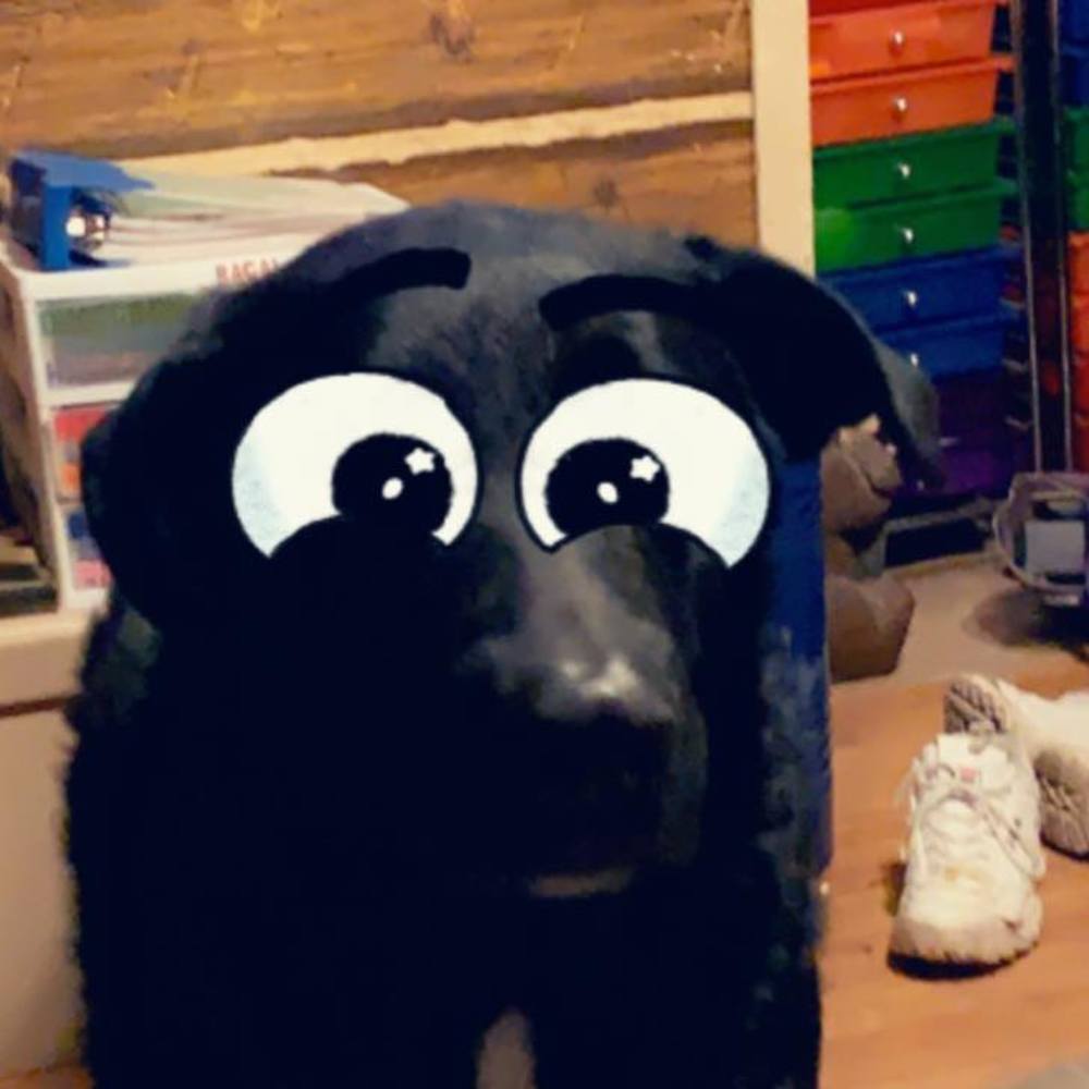 Meet your Posher, Hailey